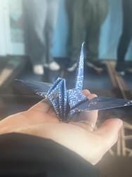 Hiroshima Guided Tour - photo 10