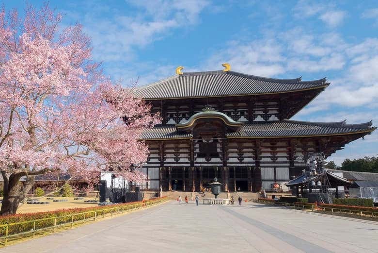 Kintetsu Rail Pass - photo 4