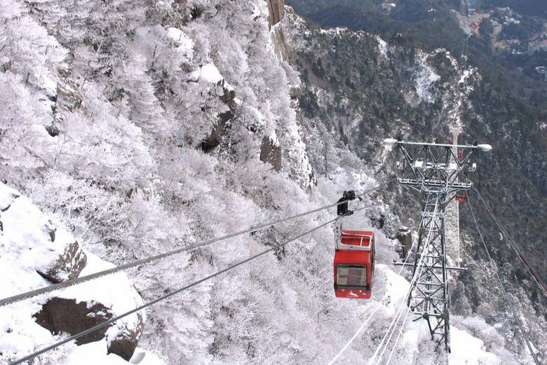 Kintetsu Rail Pass - photo 6