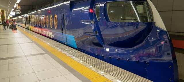 Nankai Rapit Airport Express Ticket - photo 1