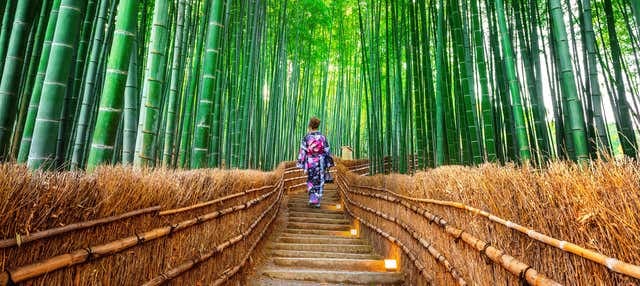 Nara, Kinkakuji & Arashiyama Day Trip - photo 1