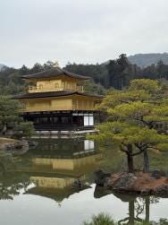 Nara, Kinkakuji & Arashiyama Day Trip - photo 11