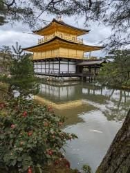 Nara, Kinkakuji & Arashiyama Day Trip - photo 13