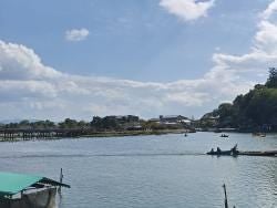 Nara, Kinkakuji & Arashiyama Day Trip - photo 16