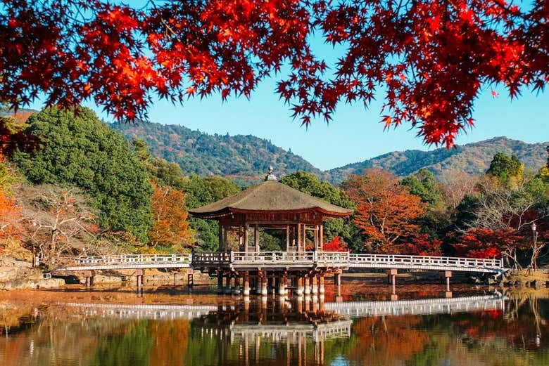 Nara & Uji Day Trip - photo 4