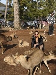 Nara & Uji Day Trip - photo 13