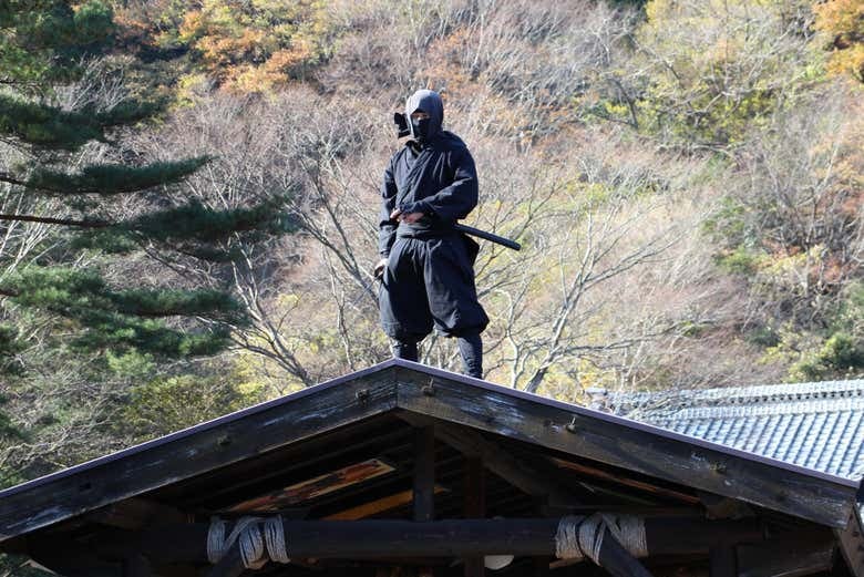 Nikko All Area Pass - photo 3