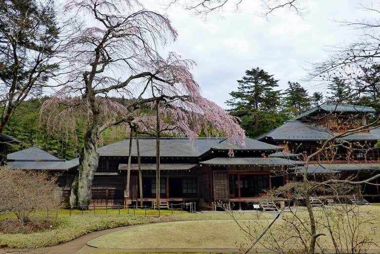 Nikko All Area Pass - photo 6