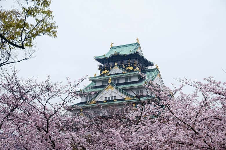 Osaka Castle Walking Tour - photo 2
