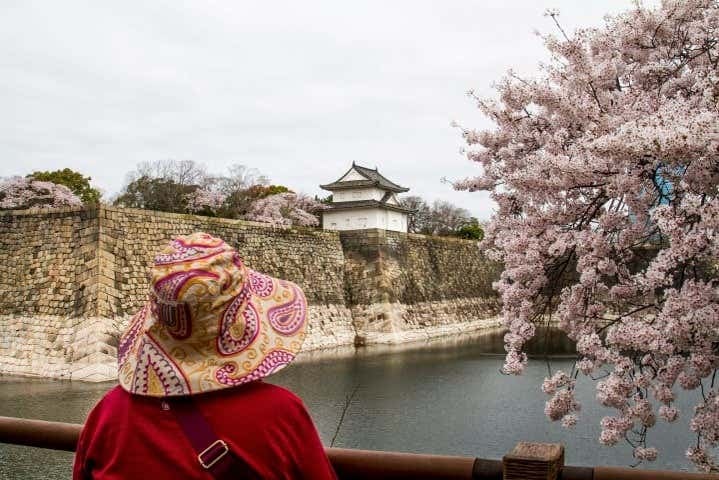 Osaka Castle Walking Tour - photo 4