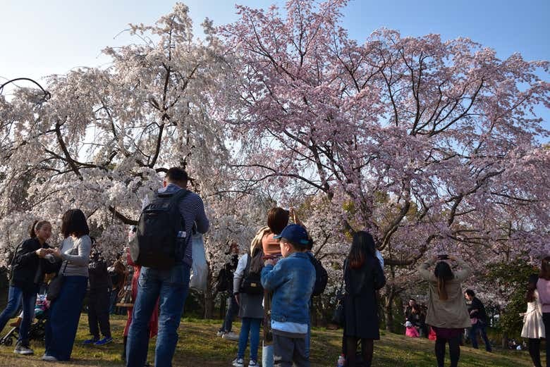 Osaka Castle Walking Tour - photo 7