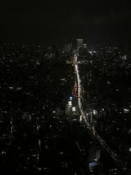 Roppongi Hills Mori Tower Ticket - photo 9