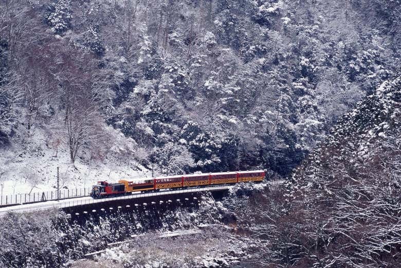 Sagano Romantic Train Tickets - photo 5