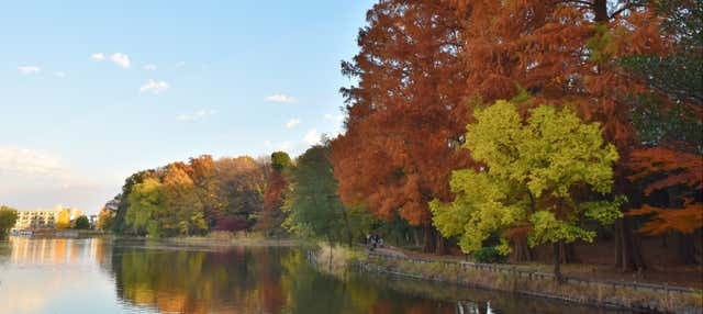 Shakujii Park Guided Tour - photo 1