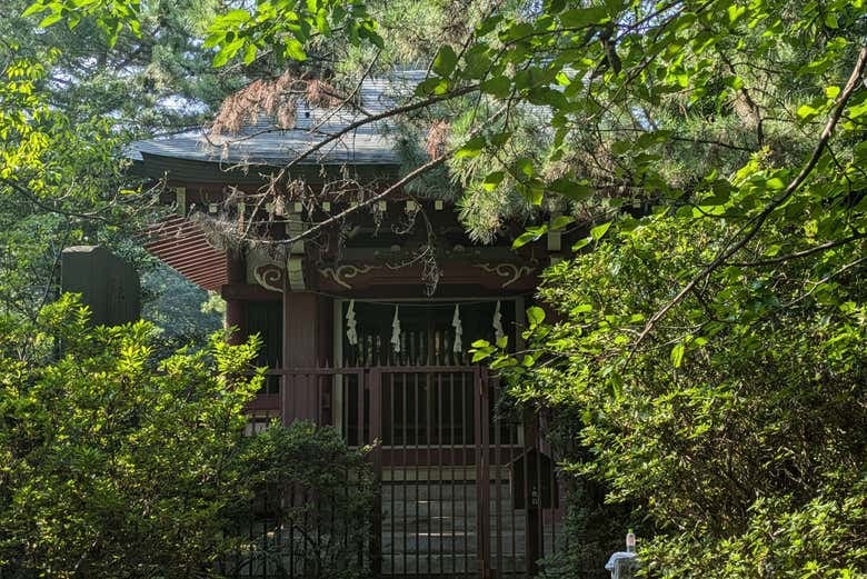 Shakujii Park Guided Tour - photo 2