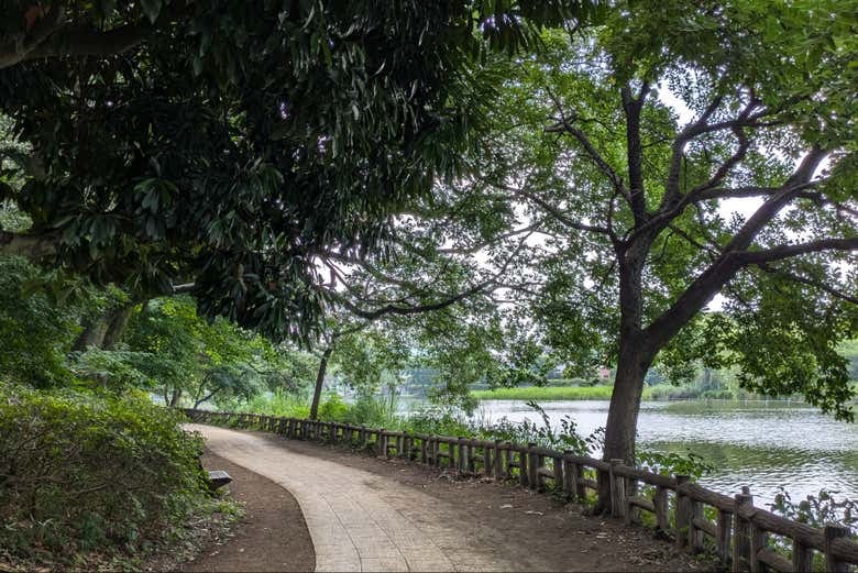 Shakujii Park Guided Tour - photo 3