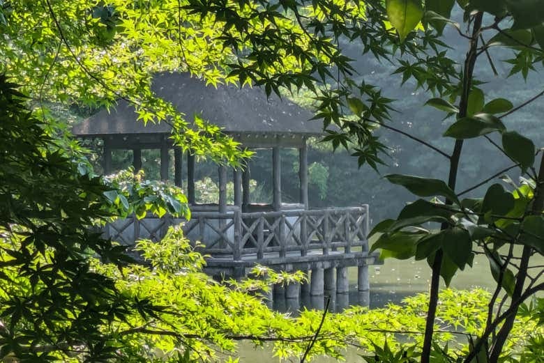 Shakujii Park Guided Tour - photo 4
