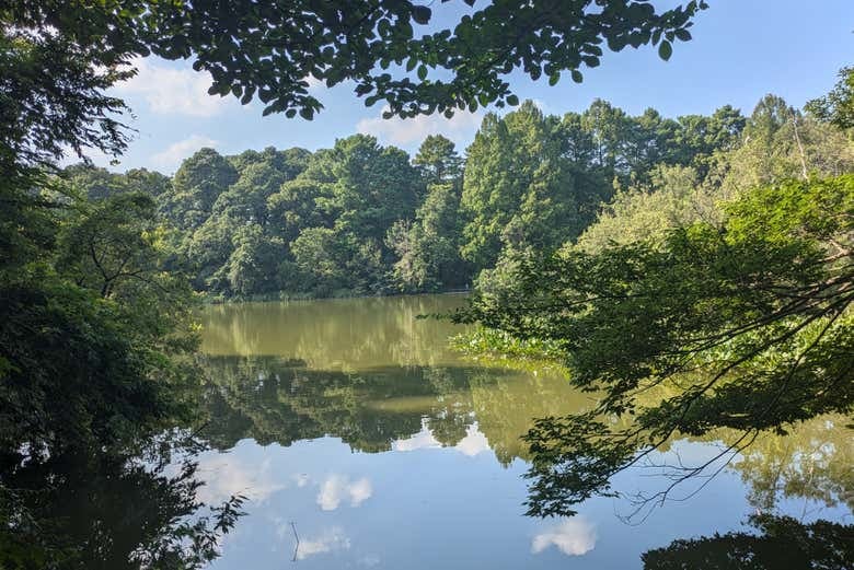 Shakujii Park Guided Tour - photo 9