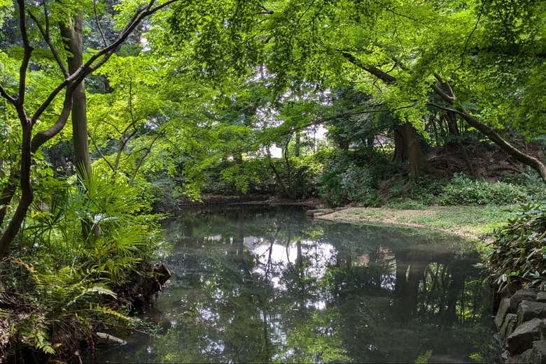 Shakujii Park Guided Tour - photo 10