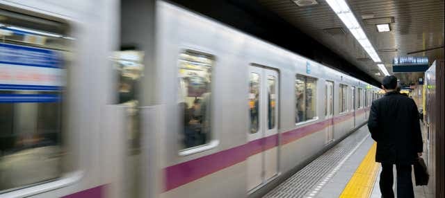 Tokyo Metro Pass - photo 1