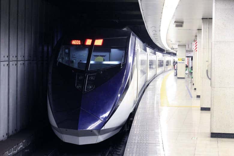 Tokyo Skyliner - photo 2