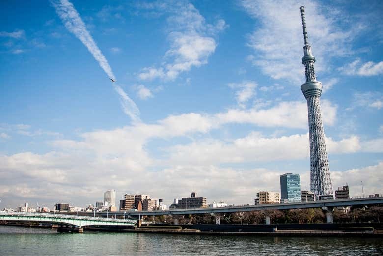 Tokyo Skytree Observation Deck - photo 7