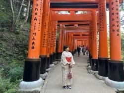 Traditional Kimono Rental - photo 5