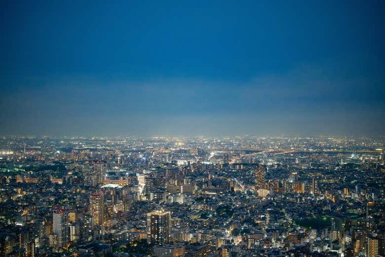 Sunshine 60 Observatory Tenbou Park Tickets - photo 6