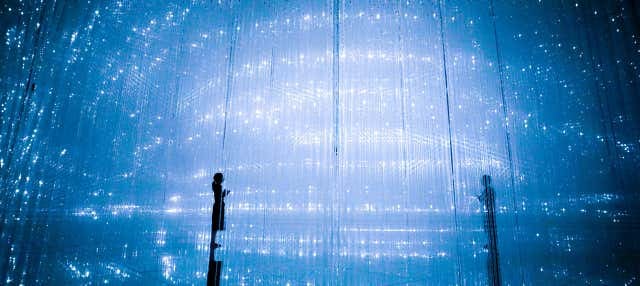 TeamLab Planets Tokyo Tickets - photo 1