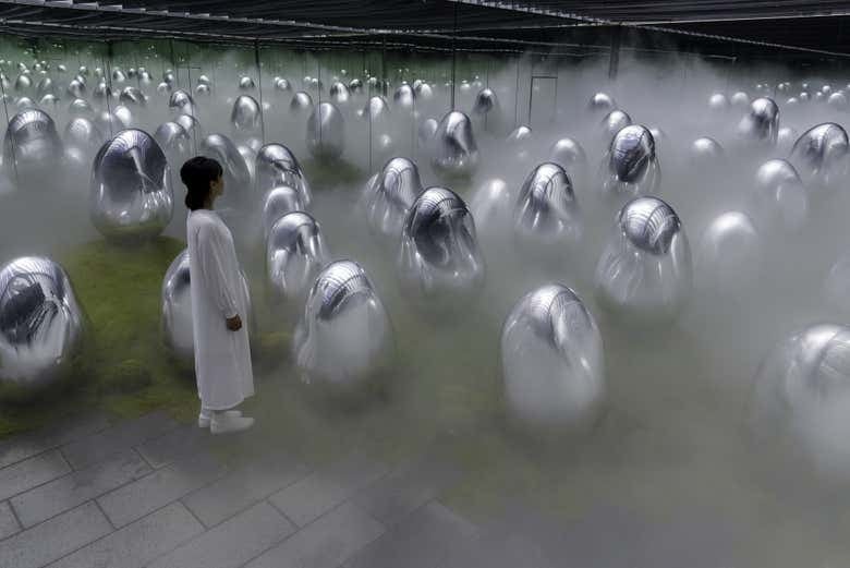 TeamLab Planets Tokyo Tickets - photo 2