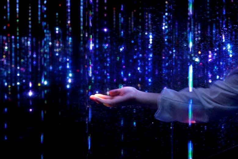 TeamLab Planets Tokyo Tickets - photo 4