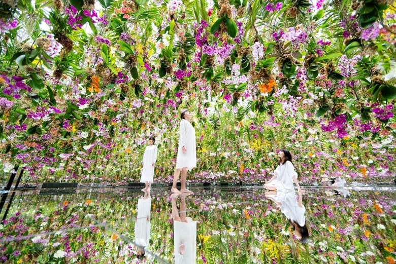 TeamLab Planets Tokyo Tickets - photo 5