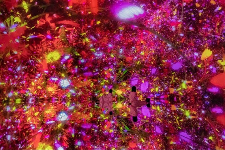 TeamLab Planets Tokyo Tickets - photo 6