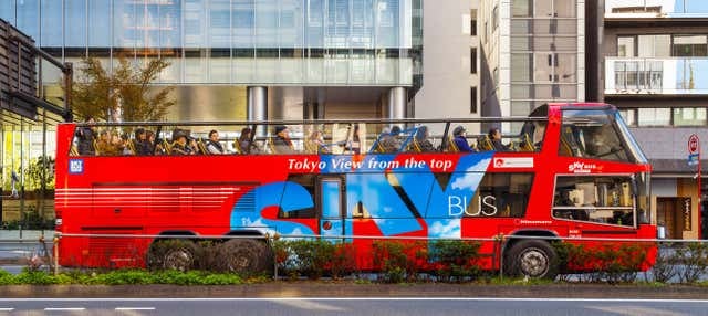 Tokyo Hop-On Hop-Off Bus - photo 1