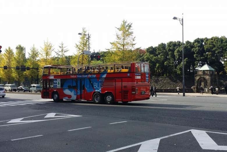 Tokyo Hop-On Hop-Off Bus - photo 8