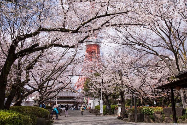 Tokyo Tower Observation Deck Tickets - photo 7
