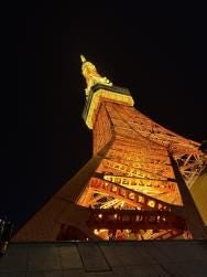 Tokyo Tower Observation Deck Tickets - photo 9